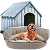 Ofertas accesorios perro