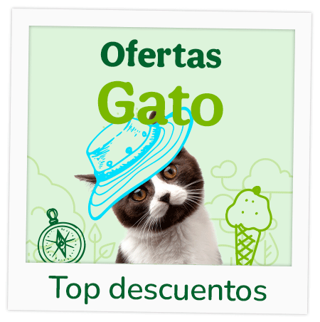 Ofertas Gato