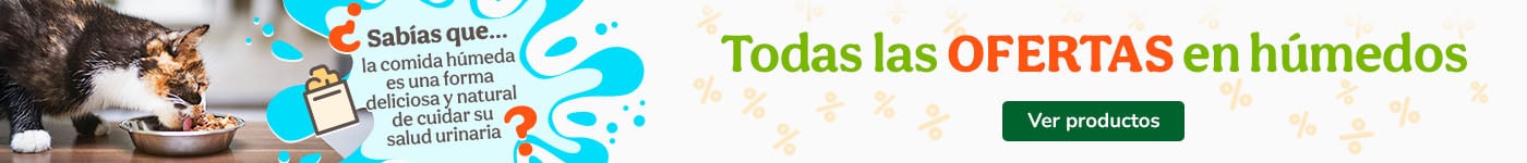 Ofertas en comida húmeda para gatos