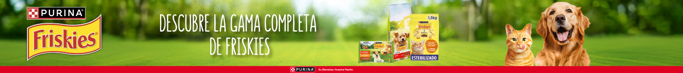 Descubre la gama completa de Friskies