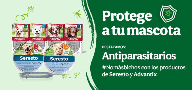 Protege a tu mascota con antiparasitarios