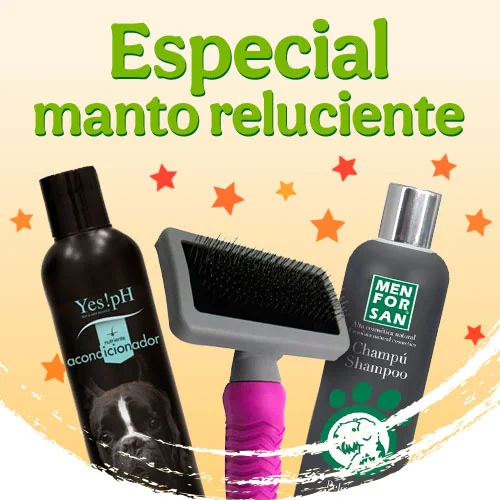 Cuida el manto de tu gato con las mejores marcas.