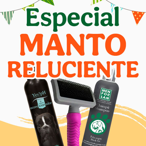Cuida el manto de tu peludo con las mejores marcas.