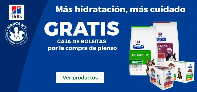 Hill's Prescription Diet: Pienso para gatos con regalo de comida húmeda.