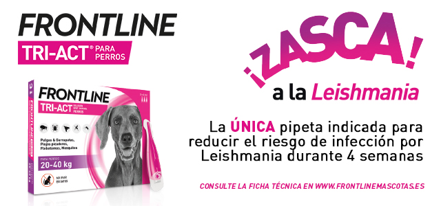 Frontline