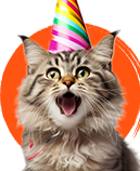 Categoria gatos
