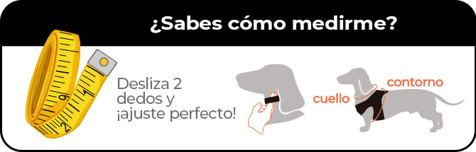 ¿Sabes cómo medirme? mide su cuello y contorno para elegir la talla adecuada. Ver más
