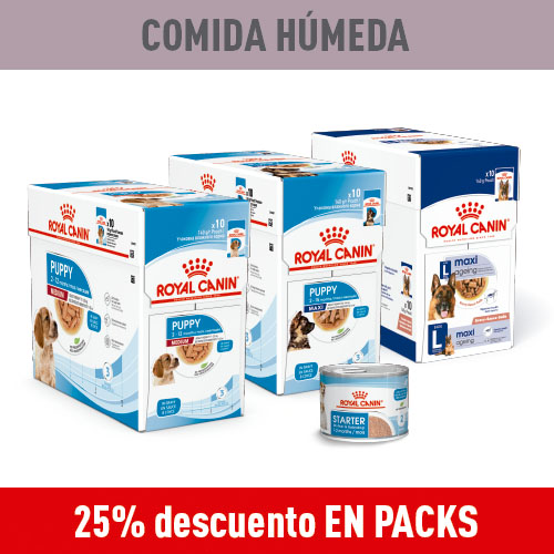 25% dto en packs de comida húmeda para perros.