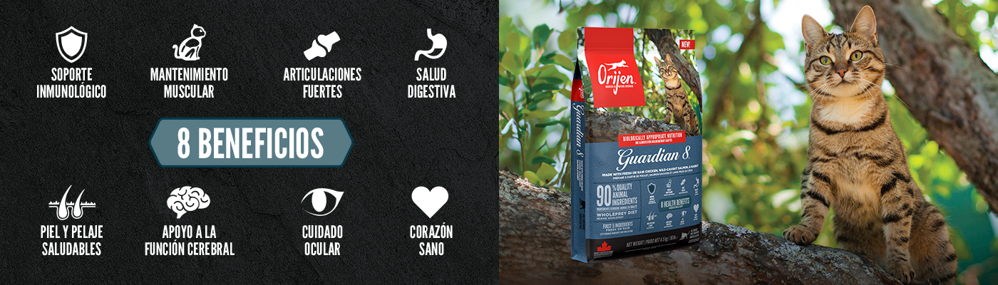 Orijen Guardian 8 beneficios, pienso completo para tu gato.