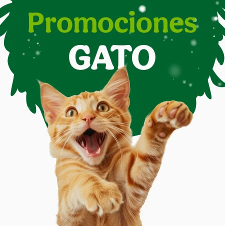 Ofertas gato