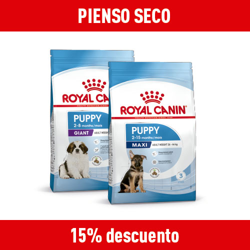 15% dto en pienso para perros.