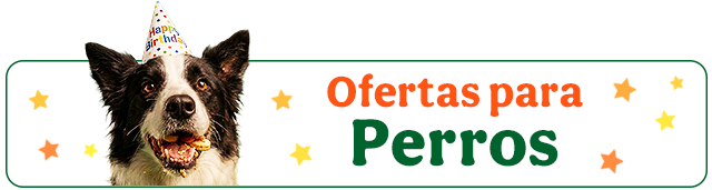 Todas las ofertas perro