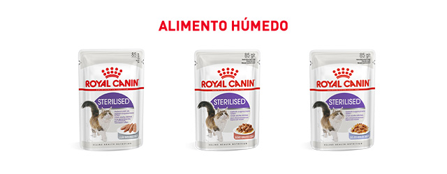 Royal Canin esterilizado. Encuentra la comida húmeda que mejor se adapta para tu gato esterilizado.