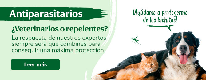 Infórmate sobre la mejor forma de proteger a tu mascota