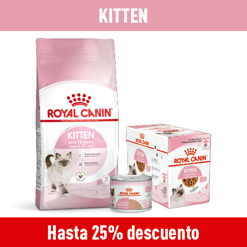 Hasta 25% dto en piensos para tu gatito.