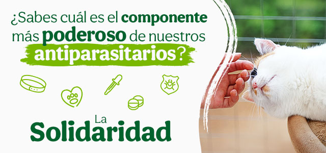 La solidaridad es el componente más poderoso de nuestros antiparasitarios