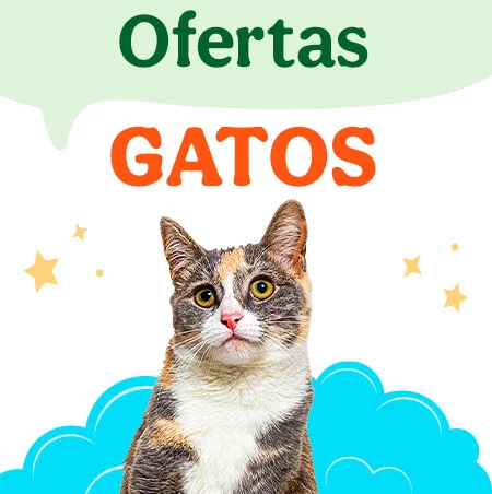Ofertas Gato