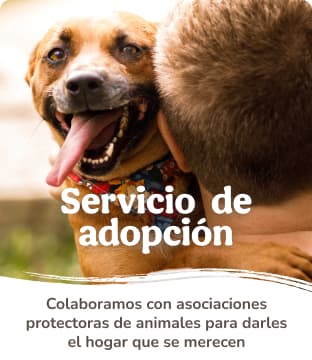 Servicio de adopción