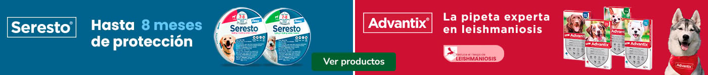 Advantix y Seresto: Antiparasitarios para gatos.