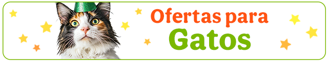 Todas las ofertas gato