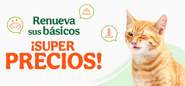 ¡Super precios en accesorios para perro y gato!
