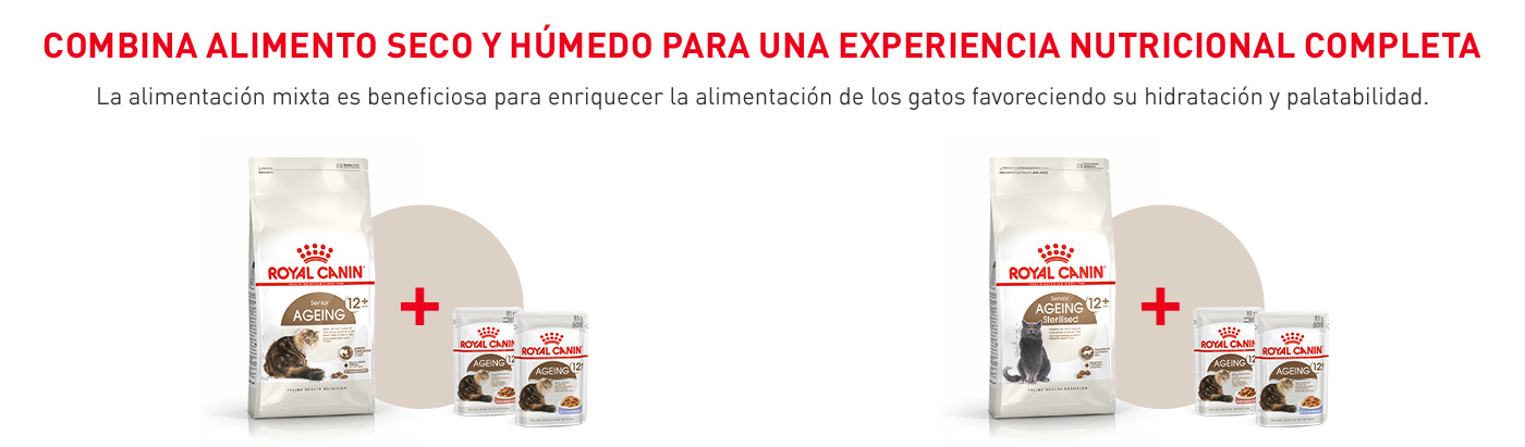 Combina alimento seco y alimento húmedo para darle a tu gato una experiencia nutricional completa favoreciendo su hidratación y palatabilidad.