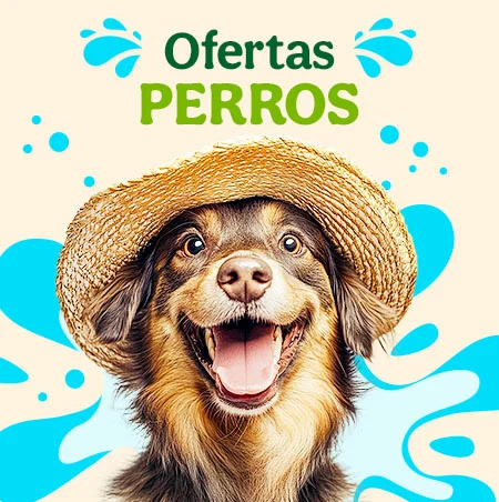 Ofertas perro