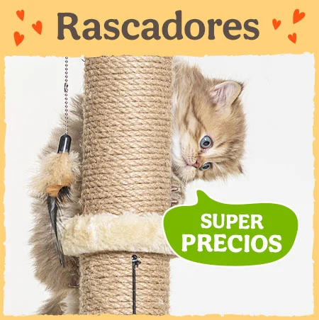 ¡Super precios en rascadores para gato!