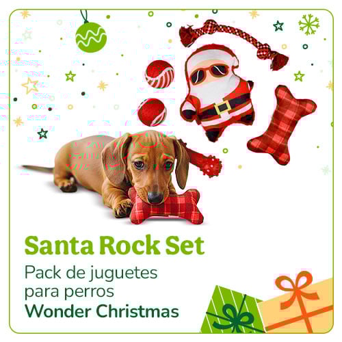 Santa Rock Set de juguetes para perros