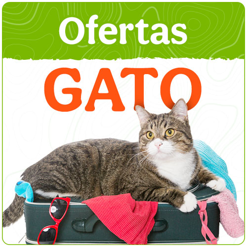 Ofertas gato