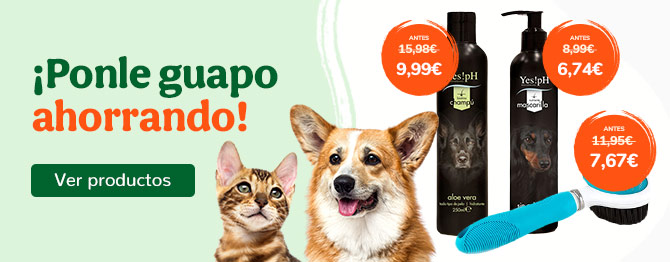 ¡Ponle guapo ahorrando!