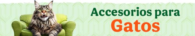 Los mejores accesorios para gato.