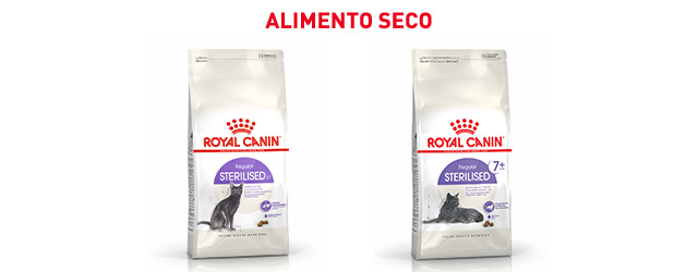 Royal Canin esterilizado. Encuentra el pienso que mejor se adapta para tu gato esterilizado.