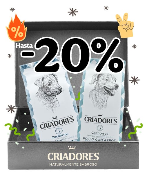 Criadores 20% dto