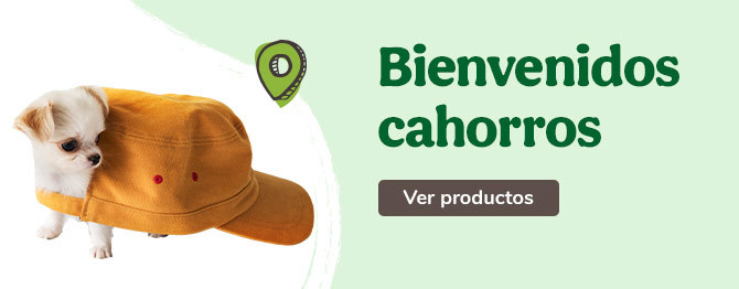 Bienvenidos perritos