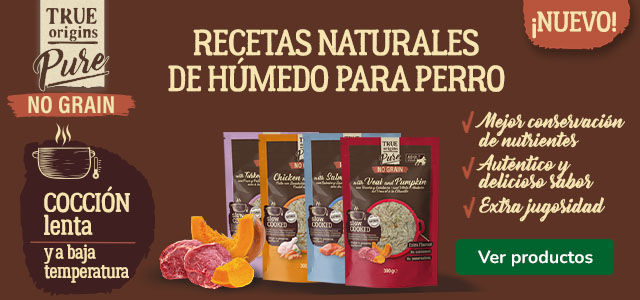 Recetas naturales de comida húmeda para perro.