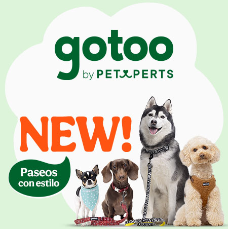 Gotoo: Soluciones para cada paseo