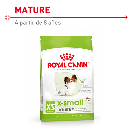  Royal Canin X-Small Mature 8 Pienso indicado para perros mayores (+8 años) de razas muy pequeñas