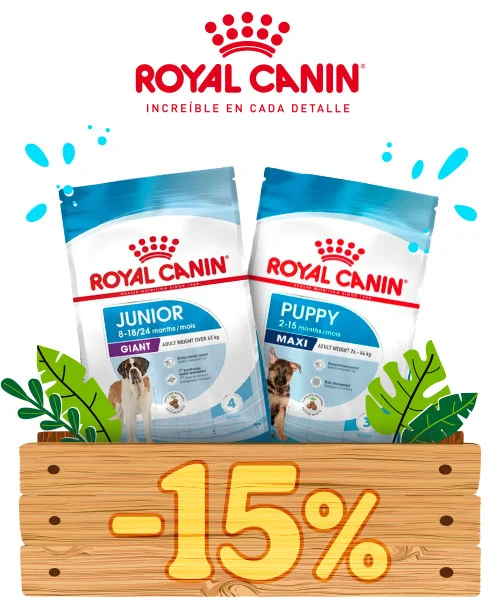 Royal Canin: 15% dto en pienso para perros.