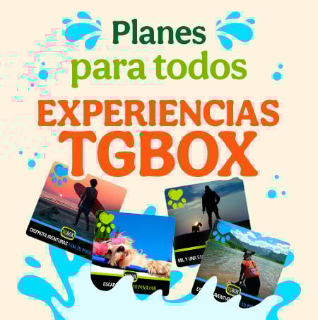 Experiencias TGBOX	