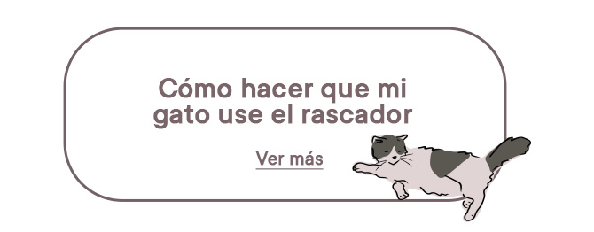 ¿Cómo fomentar que tu gato use el rascador? te damos algunos consejos