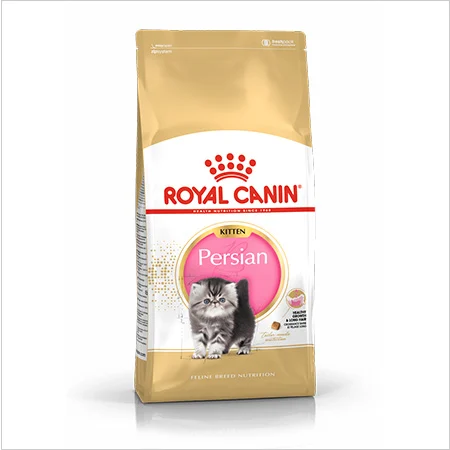Royal Canin Persian pienso para gatitos