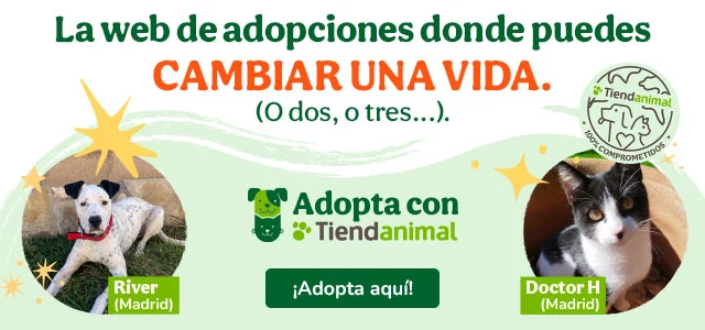 La adopción cambia vidas. Dale una oportunidad a un animal que lo necesita.