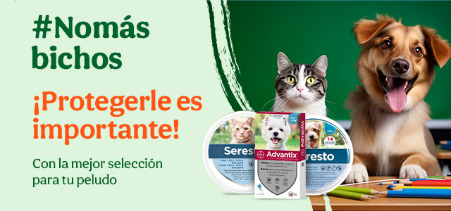 Collares y pipetas de Seresto y Advantix para garantizar su protección