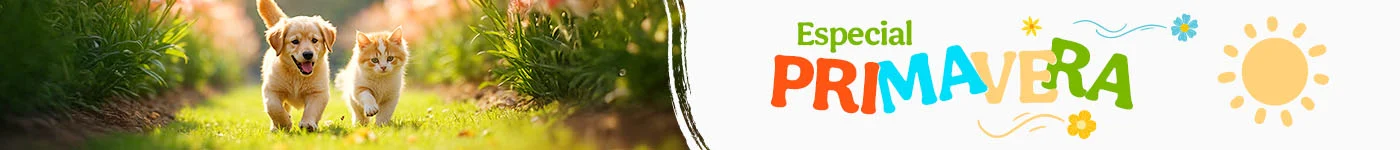 Prepárale para la primavera con los mejores productos.