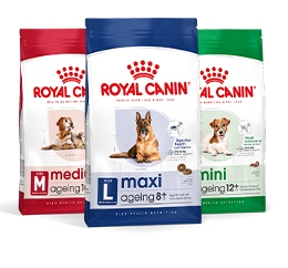 Royal Canin Perro Senior