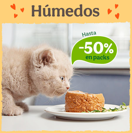Hasta -50% de dto en selección de comida húmeda para gato