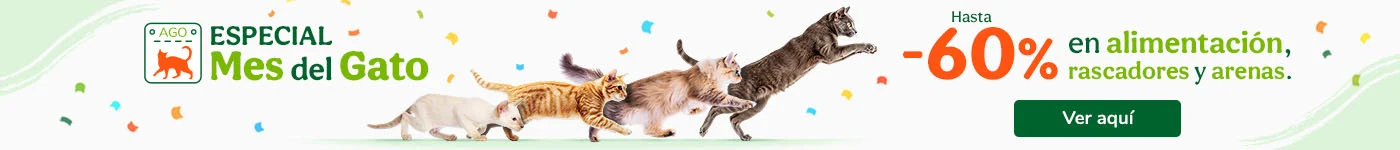 Mes del gato: Hasta -60% en alimentación, arenas y rascadores.