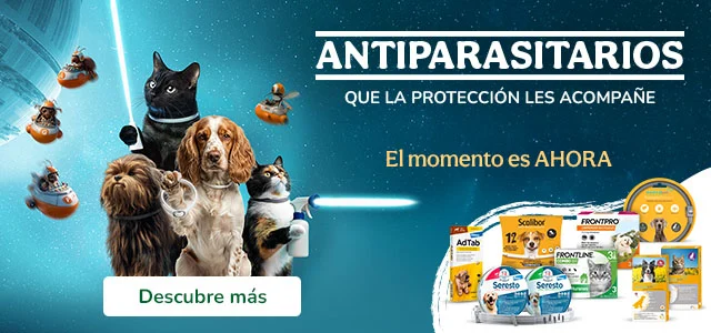 ¡Libres de bichitos!