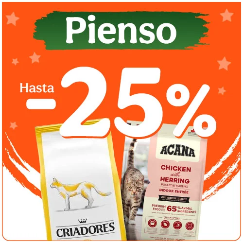 Hasta 25% dto en pienso para tu gato.